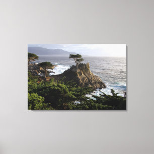 Lone Cypress - uitgerekt canvas afdrukken