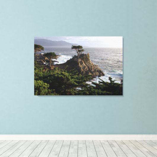 Lone Cypress - uitgerekte canvas print (Insitu (Houten vloer))