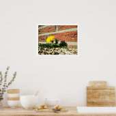 Lone Dandelion Poster (Keuken)