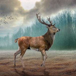 Lone Deer in Misty Forest Folded Wenskaart Kaart