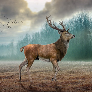 Lone Deer in Misty Forest Kaart