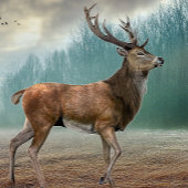 Lone Deer in Misty Forest Magneet