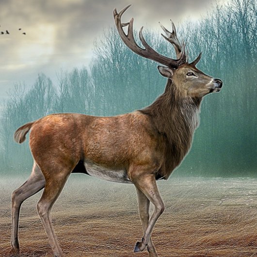 Lone Deer in Misty Forest Magneet