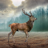 Lone Deer in Misty Forest Sleutelhanger