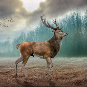Lone Deer in Misty Forest Stropdas