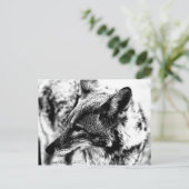 Lone Desert Coyote, D.B. Martin 2005 Briefkaart (Staand voorkant)