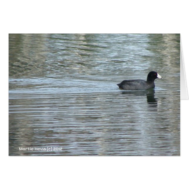 Lone Duck II (Voorkant Horizontaal)