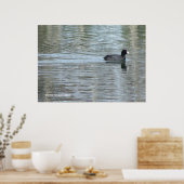 Lone Duck II Poster (Keuken)