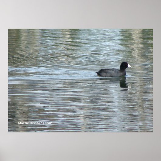 Lone Duck II Poster (Voorkant)