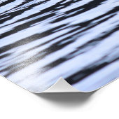 Lone Duck Wildlife Lake Water Ripples Foto Afdruk (Hoek)