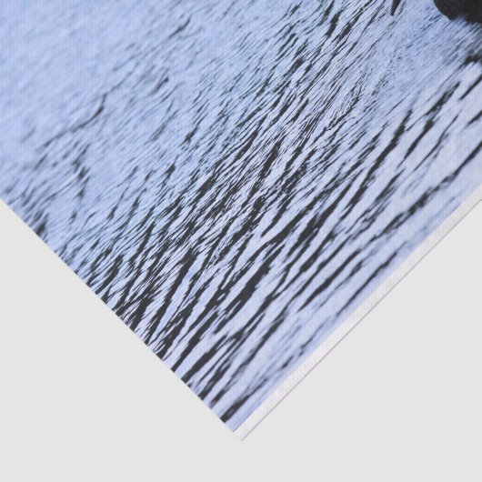 Lone Duck Wildlife Lake Water Ripples Tissuepapier (Detail)