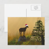 Lone Goat Bewondert bij Kerstboom Feestdagenkaart (Voorkant / Achterkant)