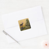 Lone Goat Bewondert bij Kerstboom Vierkante Sticker (Envelop)