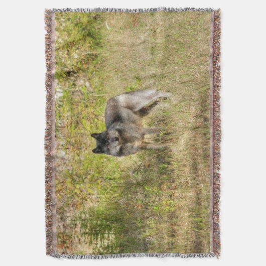 Lone Grey Wolf in de wildernis Deken (Voorkant Verticaal)