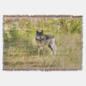 Lone Grey Wolf in de wildernis Deken (Voorkant)