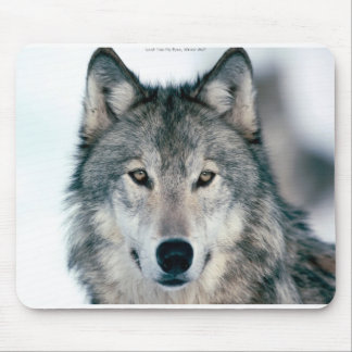 Lone grijze wolf mousepad muismat