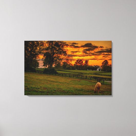 Lone Horse bij zonsondergang Canvas Afdruk (Voorkant)