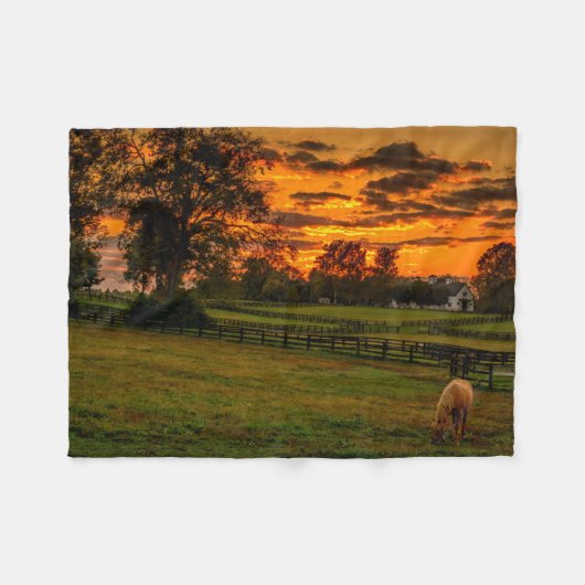 Lone Horse bij zonsondergang Fleece Deken (Voorkant (Horizontaal))