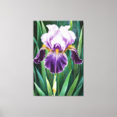 *~* Lone Iris Bloem Artsy Iris Schilderen AP84 Canvas Afdruk (Voorkant)