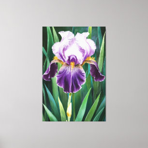 *~* Lone Iris Bloem Artsy Iris Schilderen AP84 Canvas Afdruk