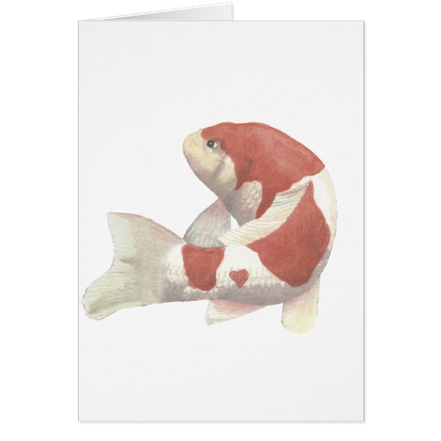 Lone Kohaku (Voorkant)