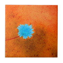 Lone Light Blue Flower