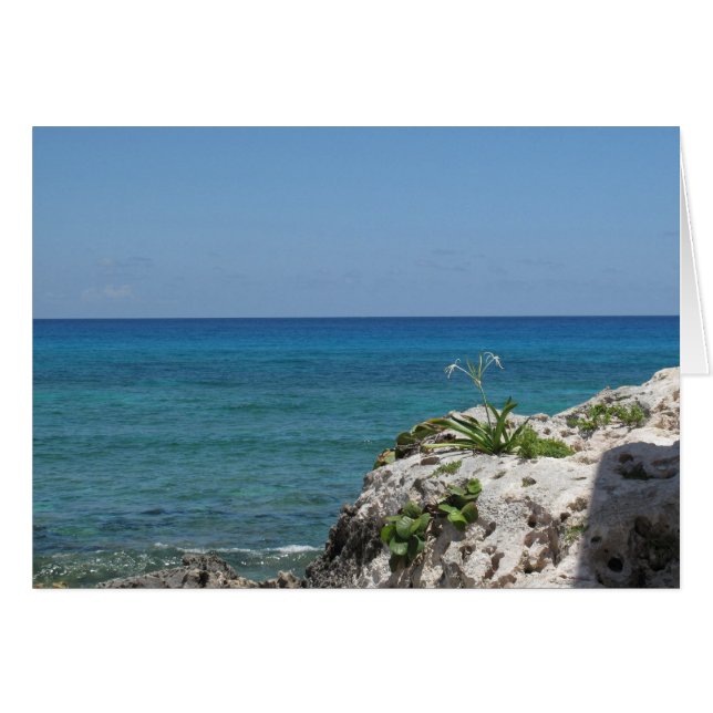 Lone Lily door het Zee (Voorkant Horizontaal)