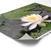 Lone Lily Poster met May Sarton Quote (Hoek)