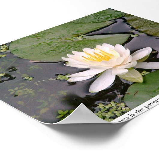 Lone Lily Poster met May Sarton Quote (Hoek)