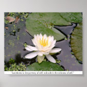 Lone Lily Poster met May Sarton Quote (Voorkant)