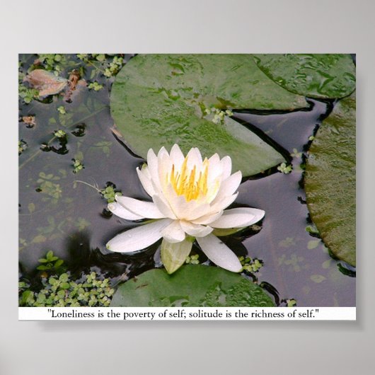 Lone Lily Poster met May Sarton Quote (Voorkant)