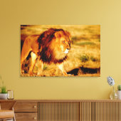 Lone Lion Canvas Afdruk (Insitu (Woonkamer))