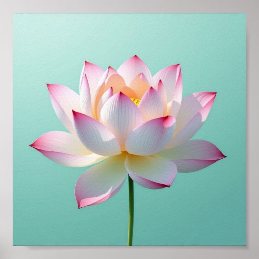 Lone Lotus Poster (Voorkant)