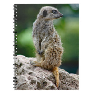 Lone Meerkat-laptop Notitieboek