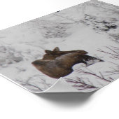 Lone Moose - Logan Guinn Poster (Hoek)