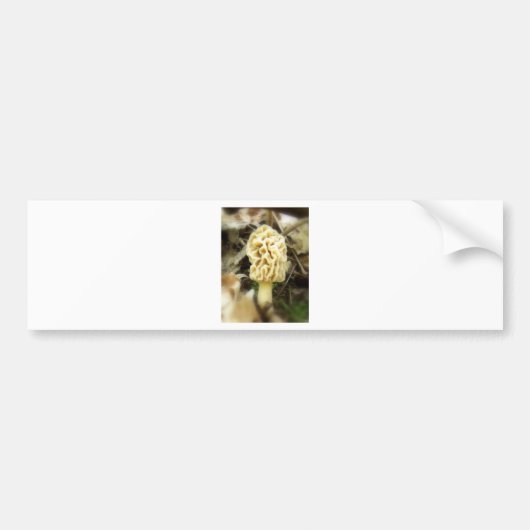 Lone Morel Bumpersticker (Voorkant)