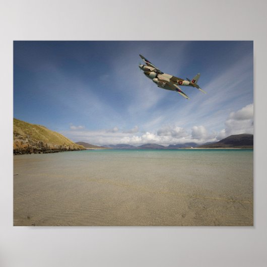 Lone Mosquito" Poster (Voorkant)