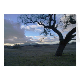 Lone Oak over Mt. Diablo in Winter