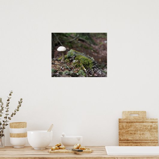 Lone paddenstoel Poster (Keuken)