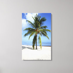 Lone Palm Canvas Afdruk