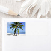 Lone Palm Etiket (Insitu)