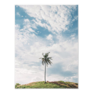 Lone Palm onder Blue Sky | minimalistisch tropisch Foto Afdruk