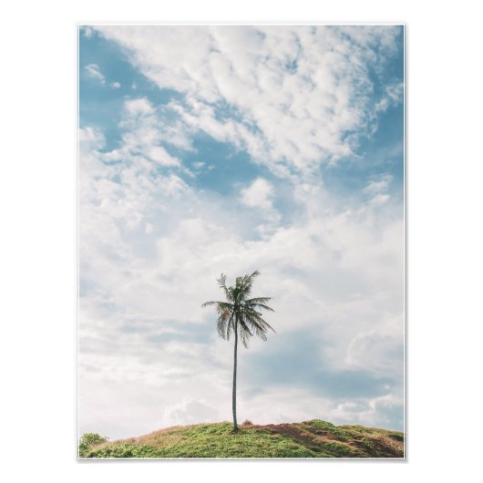 Lone Palm onder Blue Sky | minimalistisch tropisch Foto Afdruk (Voorkant)