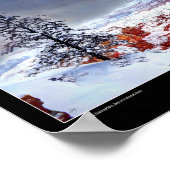 Lone Pine in een beschilderde lucht - Fine Art Pos Poster (Hoek)