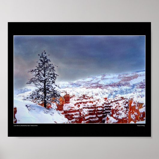 Lone Pine in een beschilderde lucht - Fine Art Pos Poster (Voorkant)