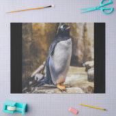 Lone pinguin tissuepapier (Craft)