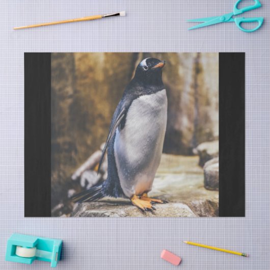 Lone pinguin tissuepapier (Craft)