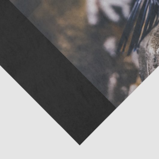 Lone pinguin tissuepapier (Detail)