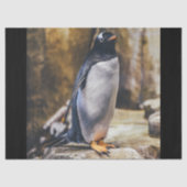 Lone pinguin tissuepapier (Voorkant)