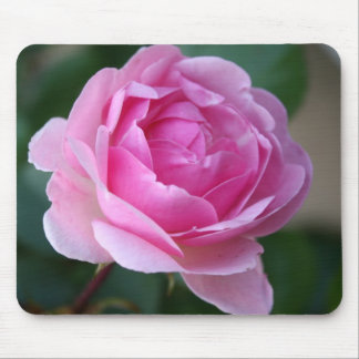 Lone Pink Rose Mousepad Muismat